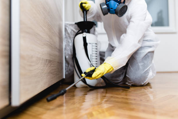 Best Local Pest Control Services  in Turner, OR