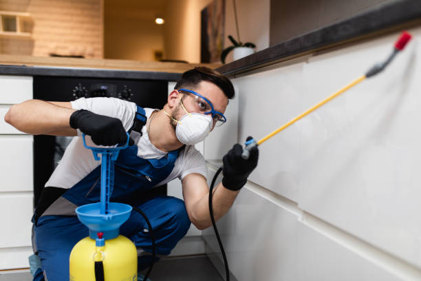 Best Pest Control for Homes  in Turner, OR