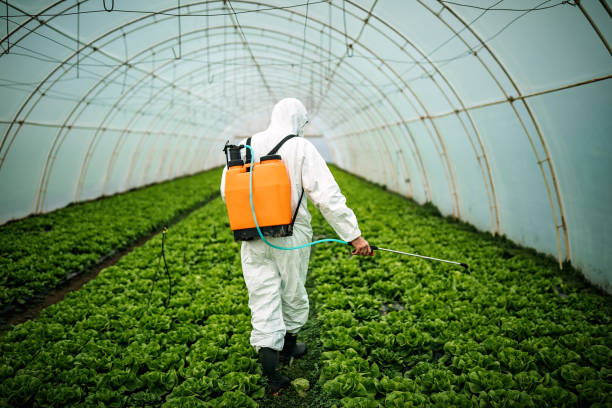 Pest Control Cost in Turner, OR