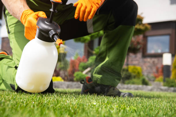 Best Termite Control Services  in Turner, OR