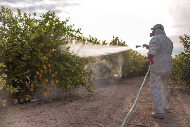 Best Exterminator Services  in Turner, OR