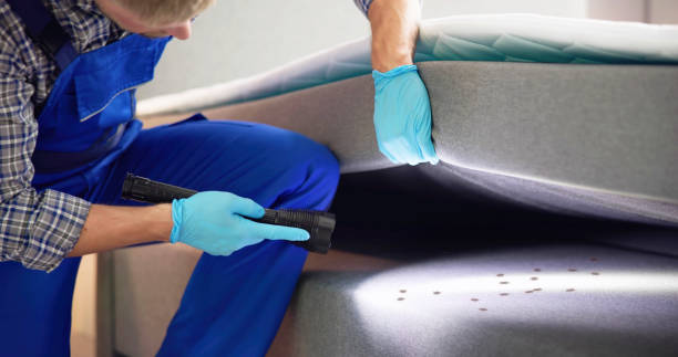 Best Affordable Pest Control Services  in Turner, OR