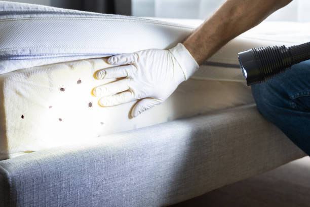 Best Best Pest Control Companies  in Turner, OR