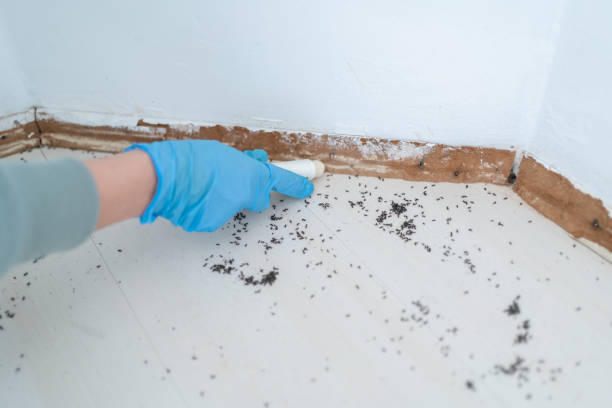 Best Pest Prevention Services  in Turner, OR